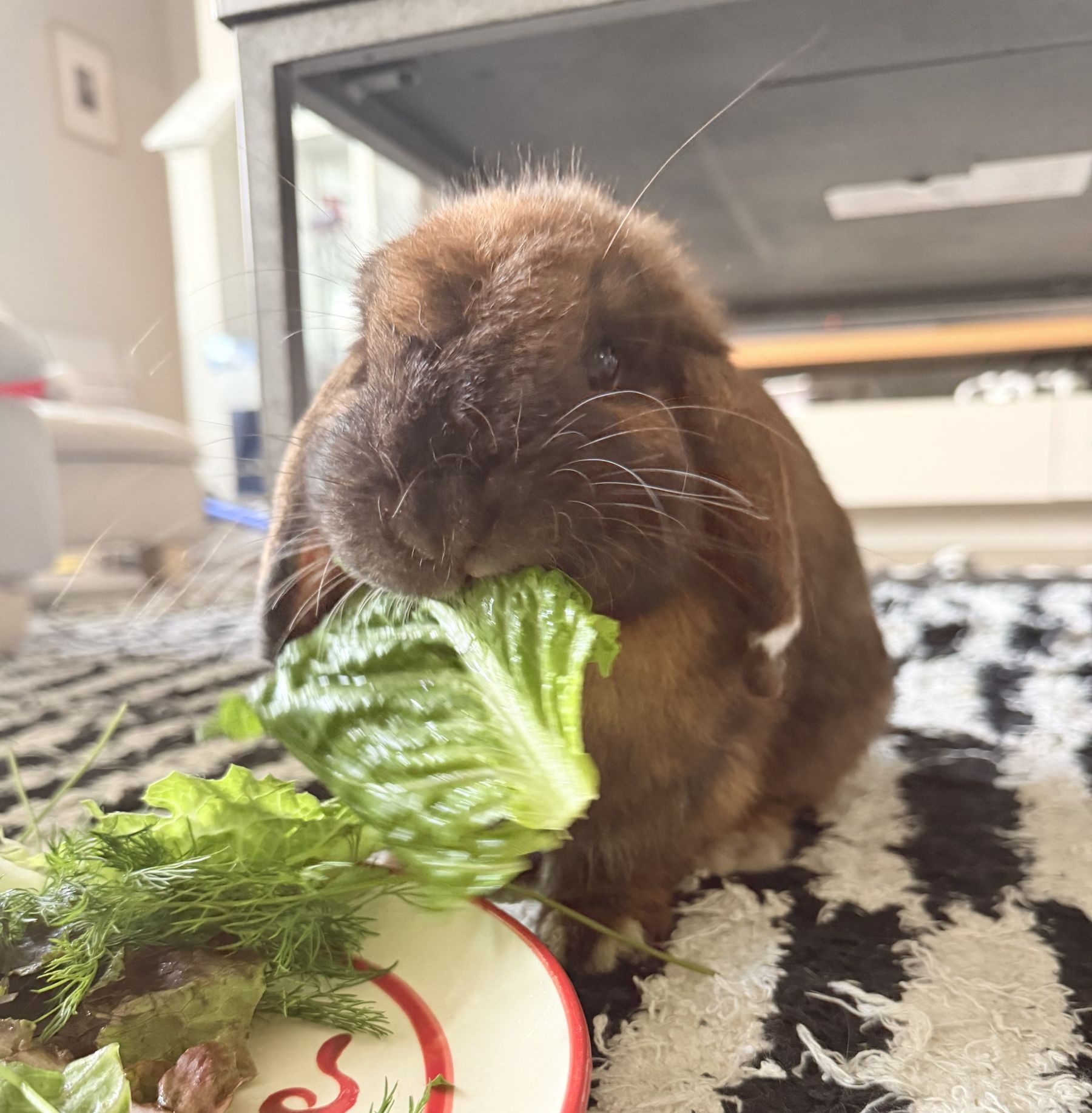 Cadbury