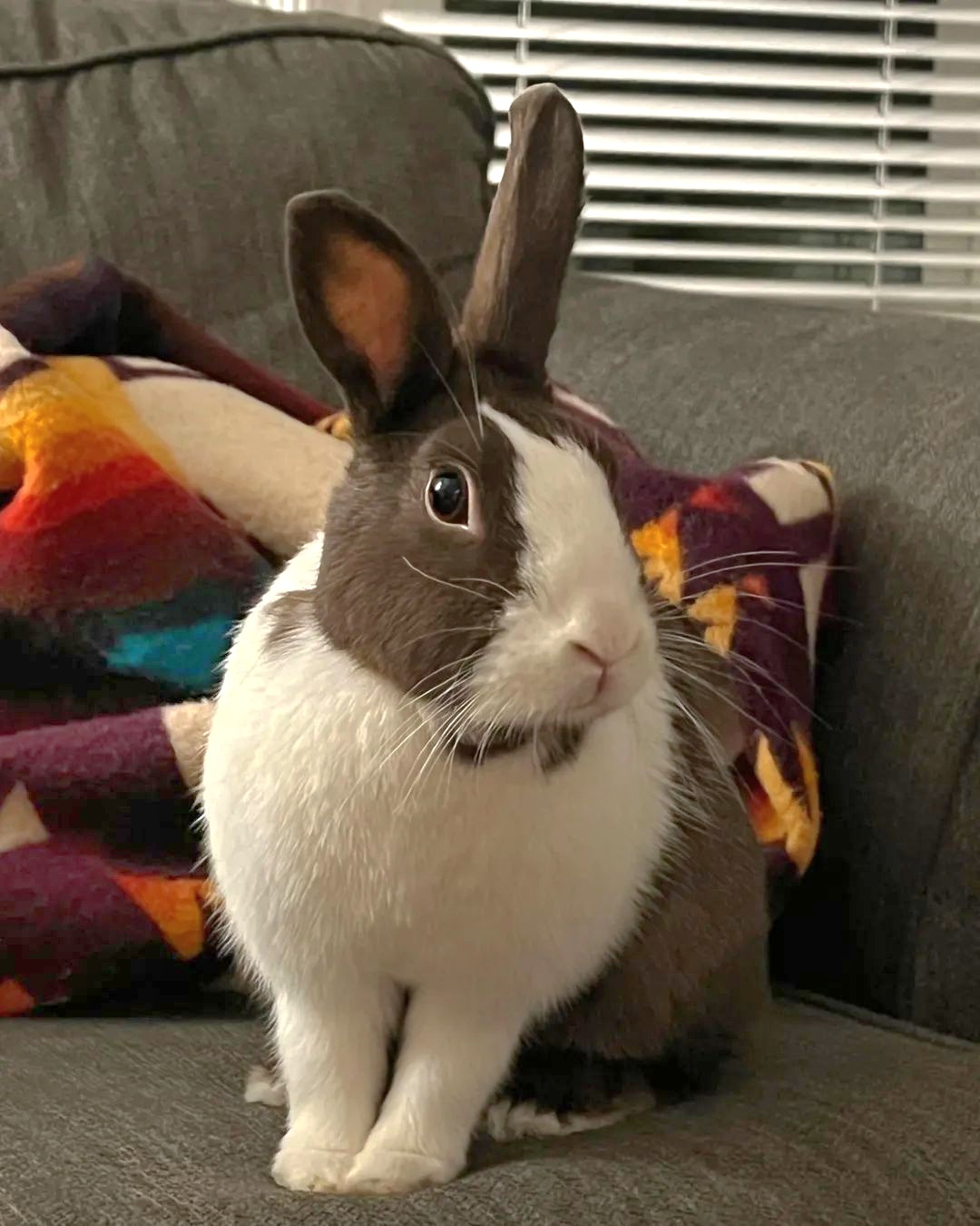 Hershey